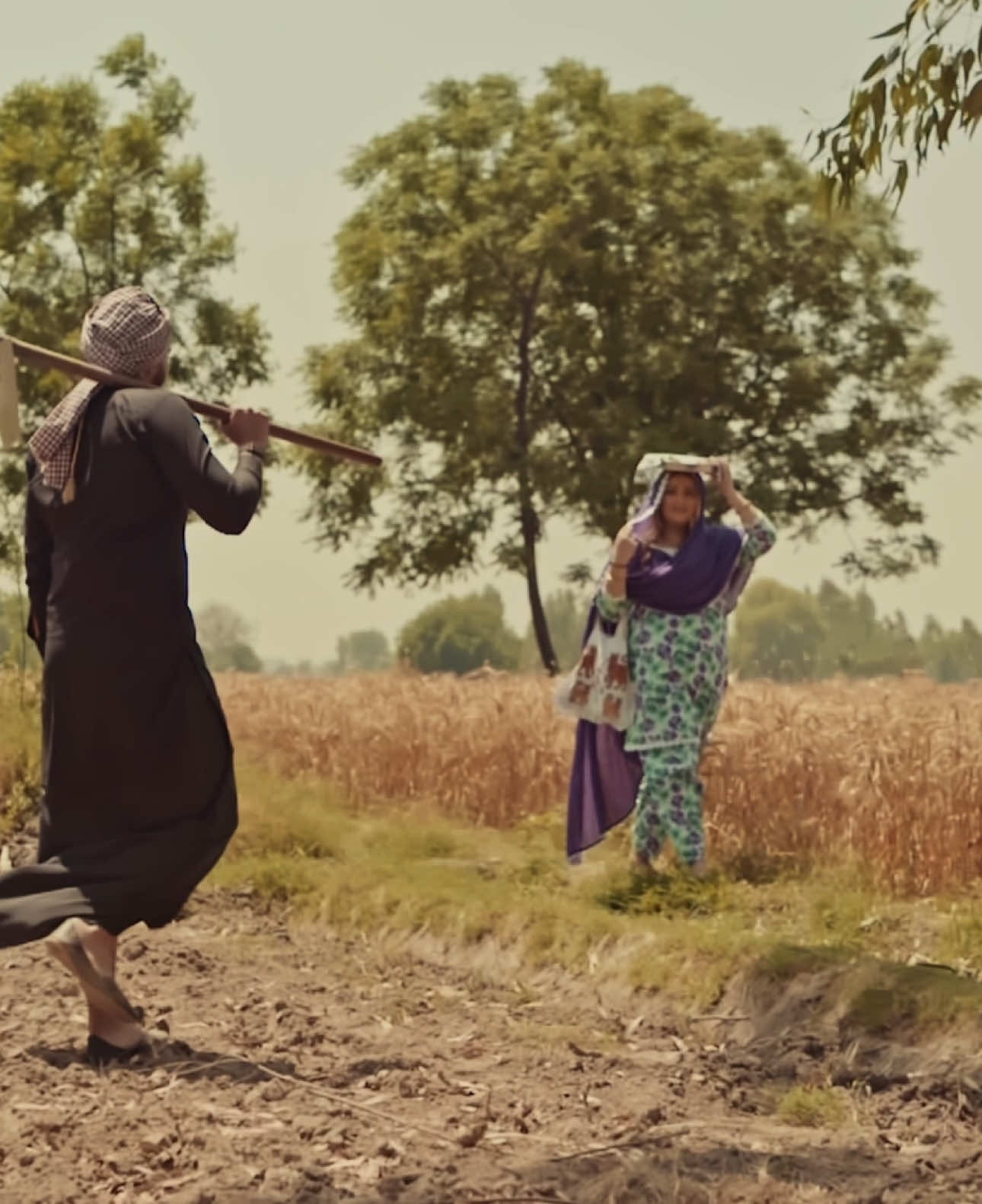 🌾❤️ #indiaprewedding #trendingvideo #viraltikto #indianwedding #fyp #farmstand #designersuit #lovebirds #bride2024 #togetherforever #alwayslearning #lovestory #supportoneanother❤️ #trendingsong #punjabfarmers #desishoot #preweddingshoot #lovepunjab #oldsongs #oldstyles 