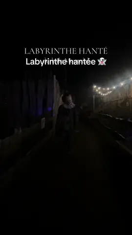 LABYRINTHE DE NUIT HANTÉ 👻 Découvrez un labyrinthe de maïs géant et ses décors d’Halloween. Amène ta lampe de poche et trouve ton chemin dans cette noirceur à vous glacer le sang!   #mtl #montreal #hallooween #maisonhanté #labyrinthehanté #activité #quefaireamontreal  🎟️: Fraisière Lauzon et fils 