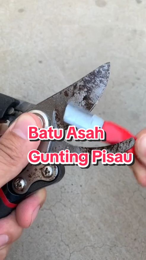 Pengasah Pisau Pengasah Gunting kecil tajam mudah guna  #pengasahpisau #pengasahgunting  #batuasah #asahpisaumurah #liieeya 