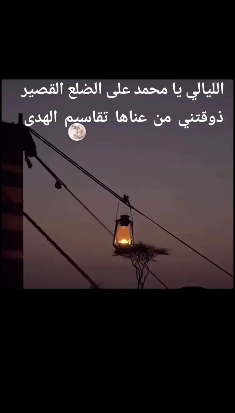 #اكسبلورexplore 