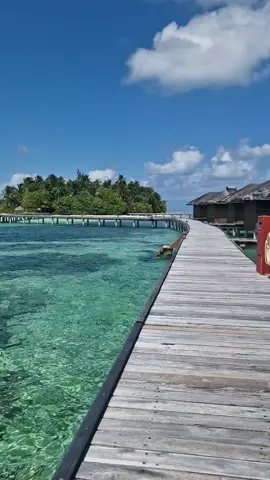 When you wake up in paradise. #DreamTravelDestination #DreamTravel #LuxuryTravelAgent #TravelLife #TravelInspo #MaldivesInspo #OverwaterVilla #MedhufushiIslandResort #WaterVilla #MeemuAtoll #WaterBungalow #HolidaysInParadise #HoneymoonInspo #Loveyourboobs 