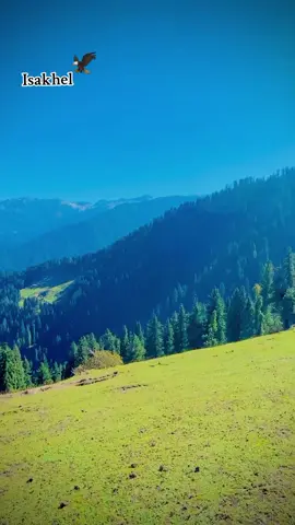 Dadsar Beautiful swat #IzharIsakhel #buaetiful #swat 
