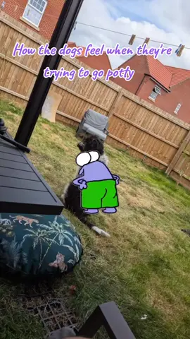 If your a dog owner you know the 