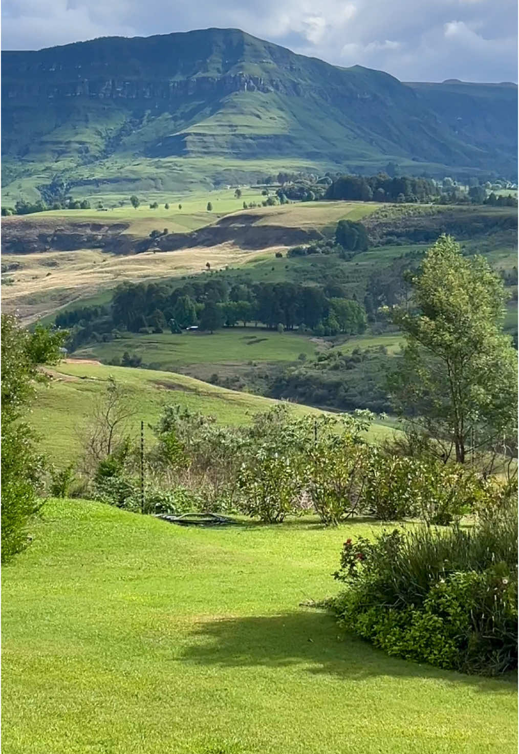 Replying to @Bathong_Lavinia it trully is. I could sit out-here the whole day. #fyp #KZN #dragonspeakresort #mountainsview 