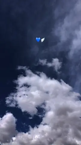 💙🪽. #fbyツ #تصوير 