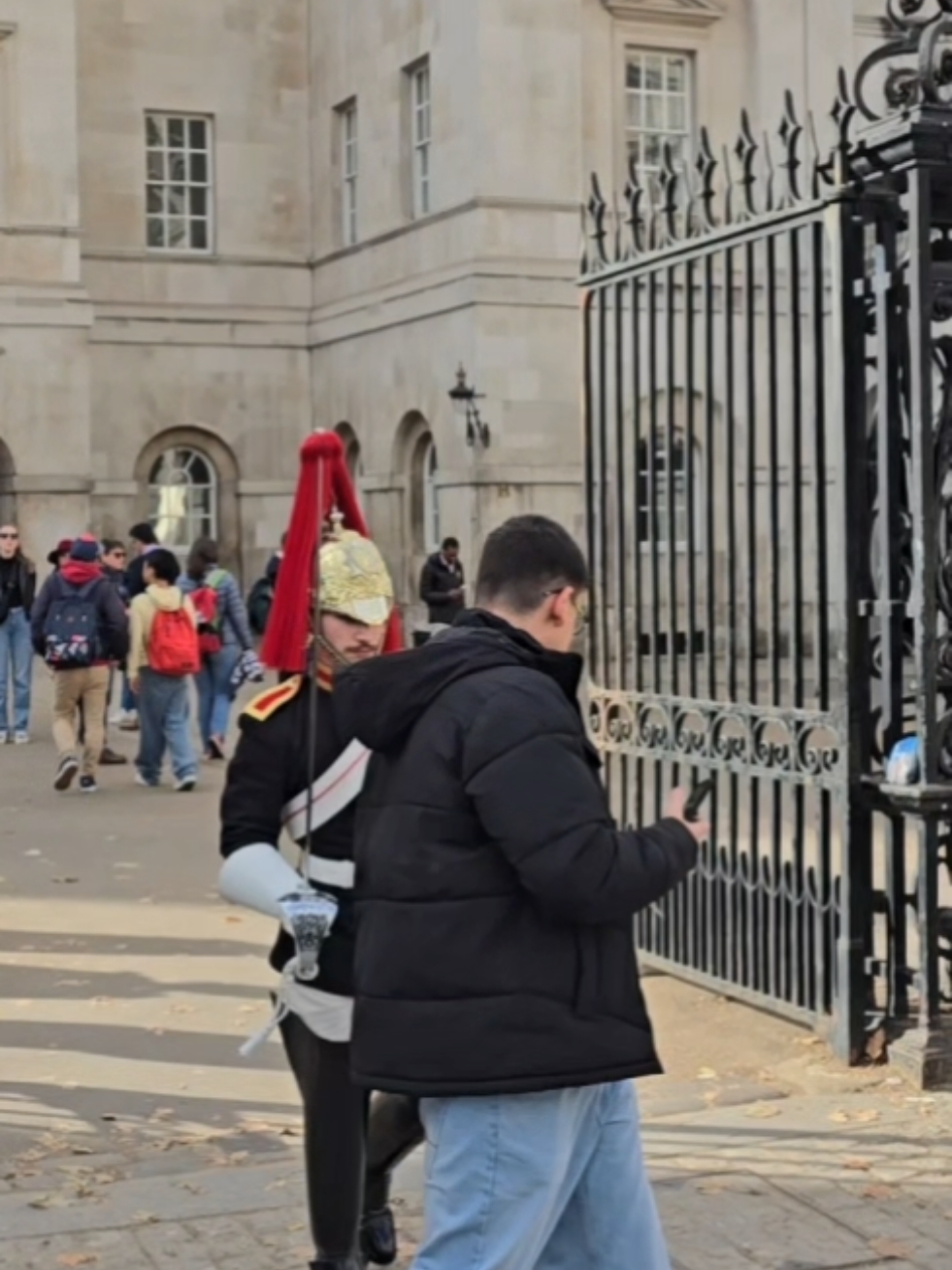 #horseguardsparade #tourist #twins #bluesandroyals #london #kingsguard 