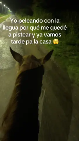 Es que la pasadita es sagrada no se puede pasar asi nomas #fyp #queretaro #caballos 