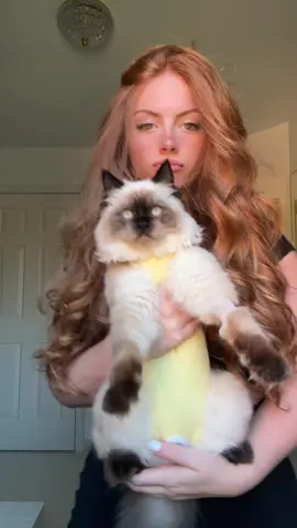 Im obsessed w miso girl 