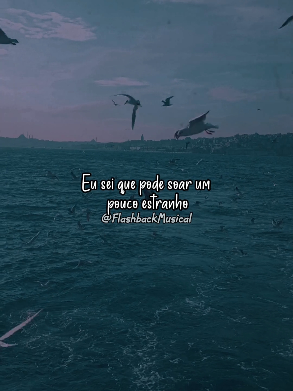 🎙️ Savage Garden 🎵 I Knew I Loved You #savagegarden  #iknewilovedyou  #1997  #90smusic  #Flashback  #goodvibes  #tipografia  #lyrics  #status  #tradução  #goodtimes  #nostalgia  #aestheticvideos 