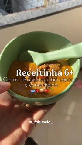 Me segue 🥳💖 Ingredientes  Abóbora  Cenoura  Carbs moida  Tomate  Cebola Açafrão  Páprica doce Salsa Alho #receita #maedeprimeiraviagem #maternidade #papinha #bebe #fyp #receitasparabebes #comida 