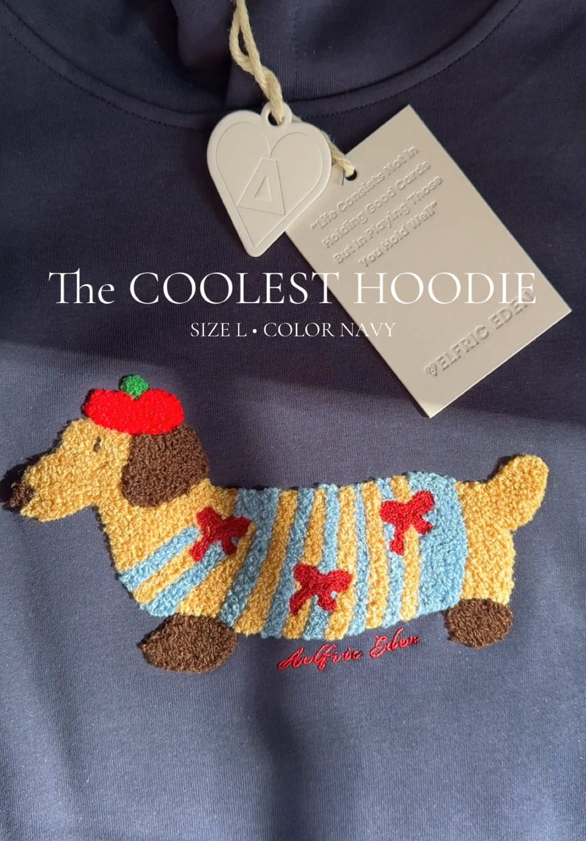 The coolest hoodie with the cutest embroidered design EVER! 🐶 @aelfricedenofficial  . . #hoodies #hoodiesthathoodie #hoodieseason #hoodie #hoodiedesign #hoodiestyle #tiktokshopmademebuyit #tiktokshopcybermonday #tiktokshopblackfriday #tiktokshopholidayhaul  