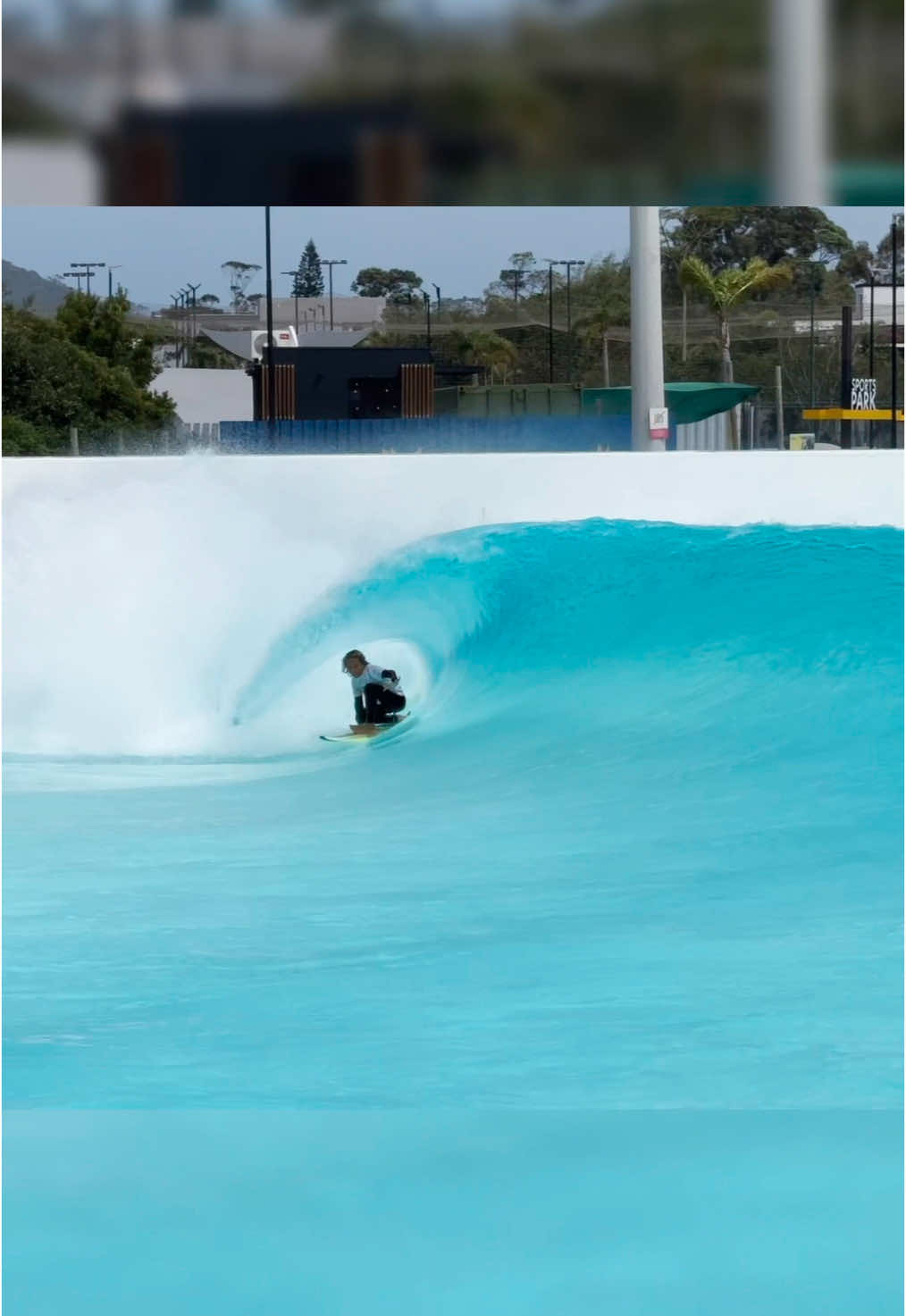 Disnaylandia do surf