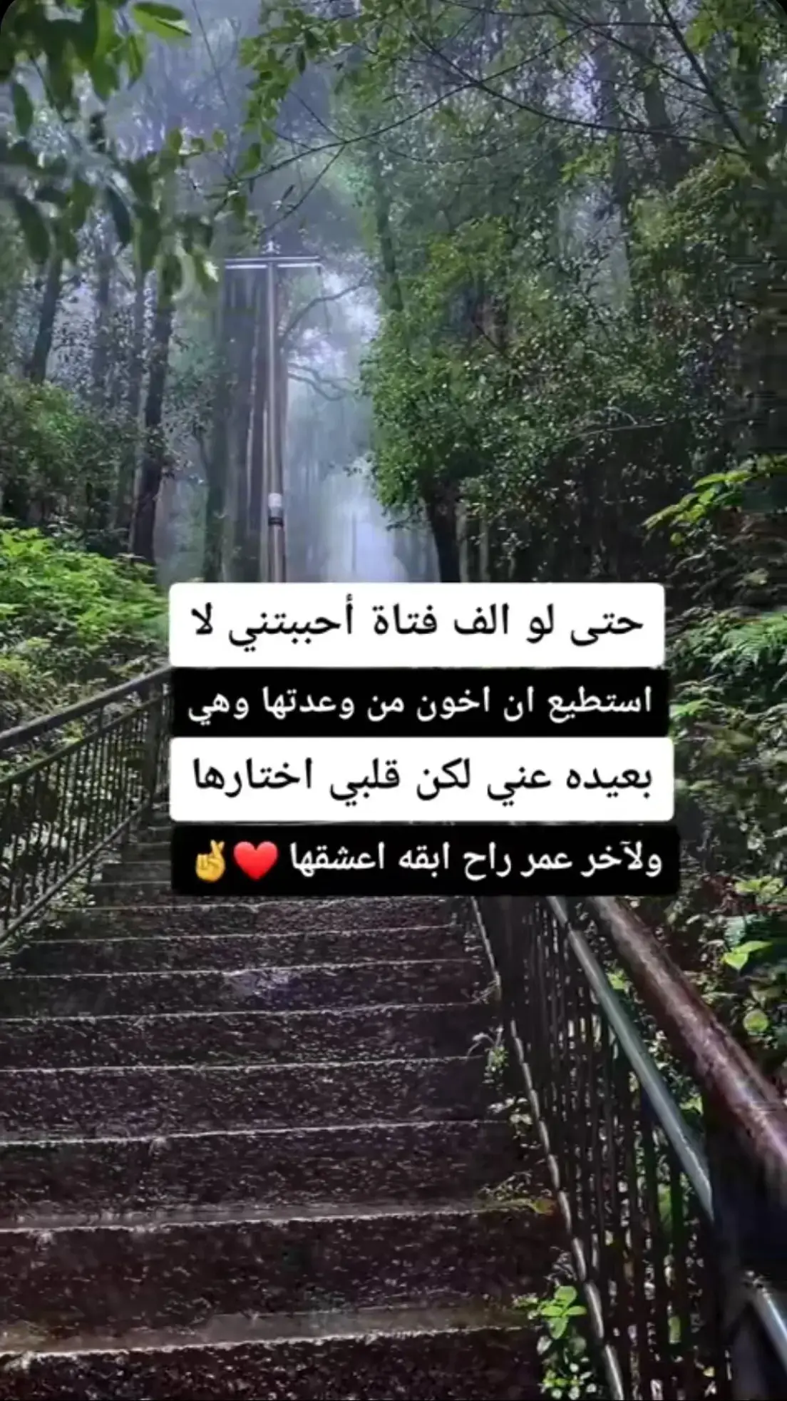 #viralvideo #foruyou #fypシ゚viral #مهراب_الوداع_💔 #فراق_شخص_تشتاق_له_كل_دقيقه💔🚶🏻‍♀️ 