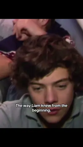 The way Liam looks at them means everything 🥹 #harrystyles #liampayne #onedirection #liampaynevideos #onedirectionvideos #harrystylesfan #larrystylinson #louistomlinson 