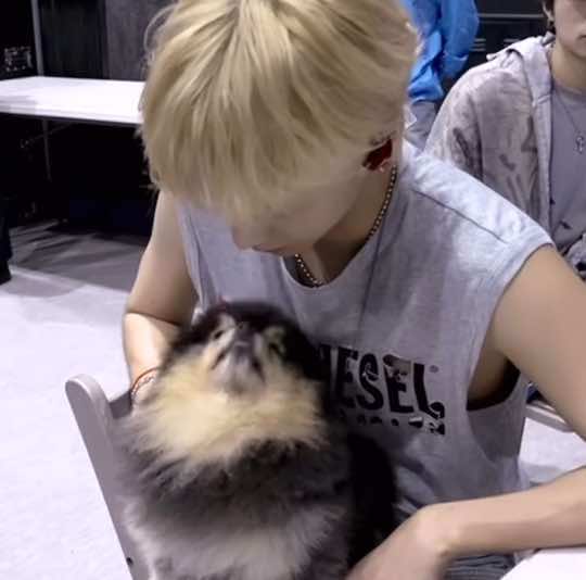 the fact that he adopted Yeontan knowing that he had health problems really shows his human and loving side it’s one of the reasons why I love him so much..💓 #taehyung #yeontan #fatherson #Love #family #fypp 