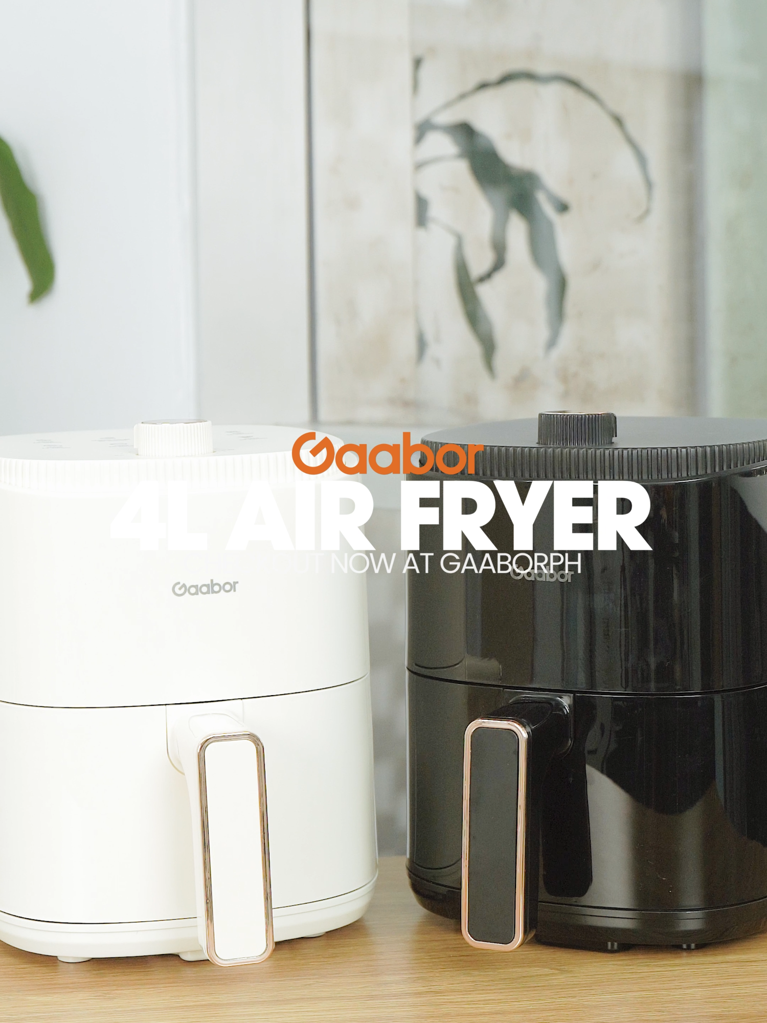 Two offered colors for our new product of Gaabor 4L Air Fryer! Check out now. #gaaborfam #TikTokShop #fyp  #airfyer #airfryerrecipe #airfryerchicken  #kitchenware