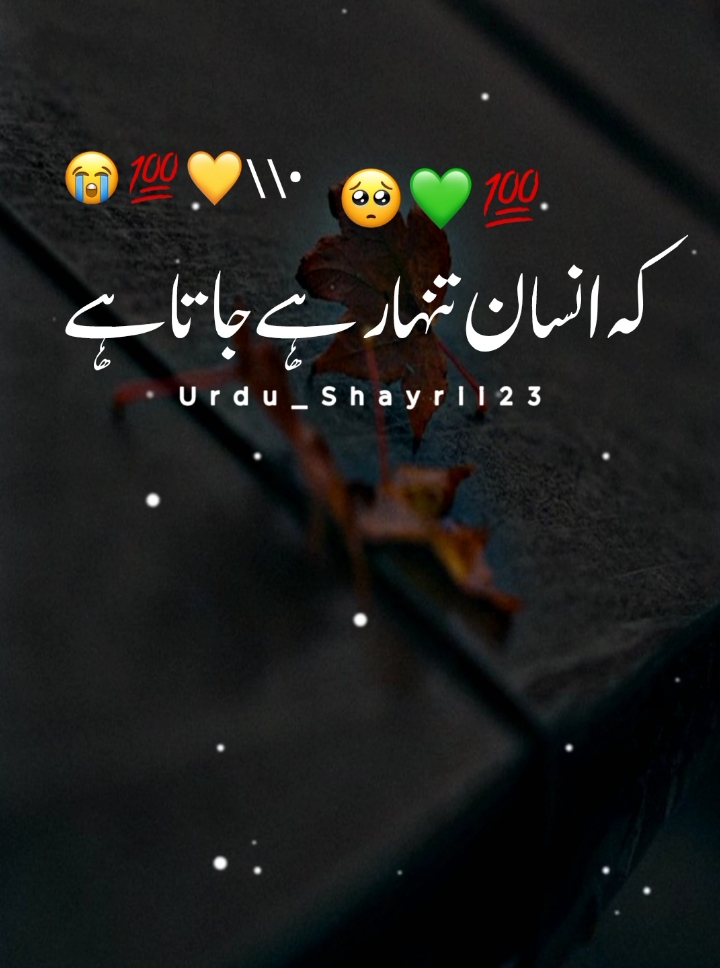 #foryou #foryoupage #standwithkashmir #burhan_tv #fyp #viralvideo #tiktok #urdu_shayrii23 