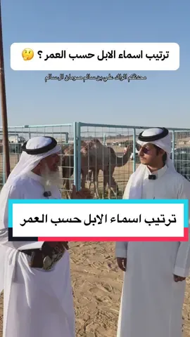 #مزاد_نجران 🇸🇦❤️ #رسام_نجران 