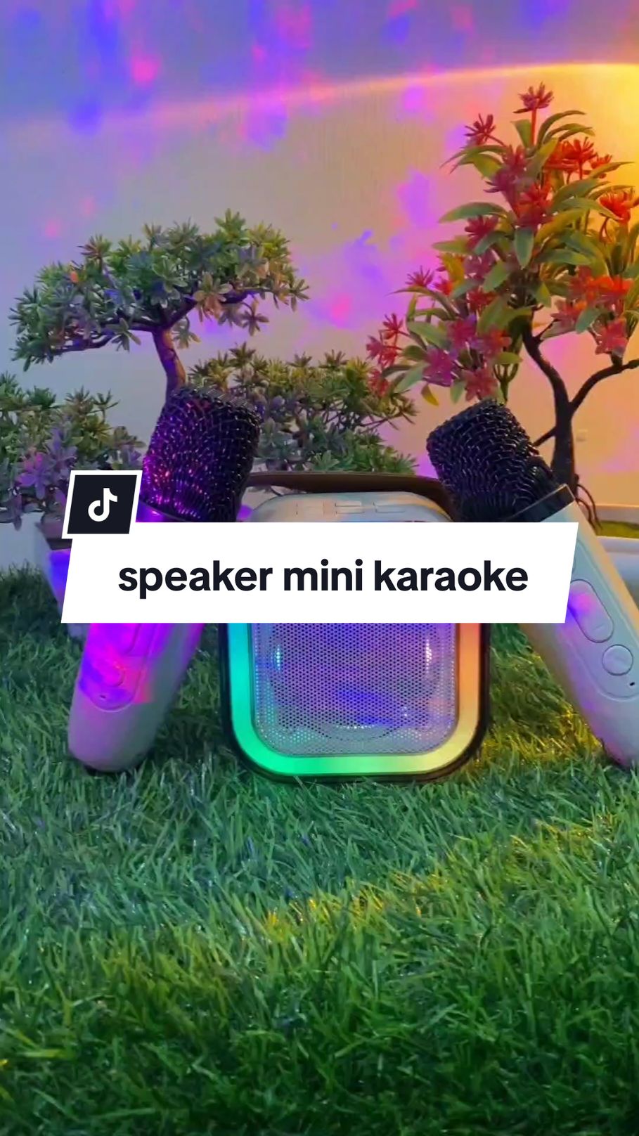 speaker mini karaoke dua mic#speakermini #speakerportabel #speakerkaraoke 