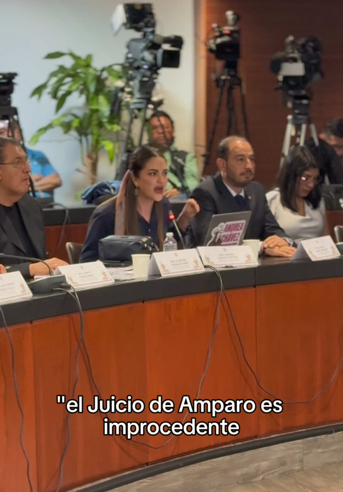 Durante toda la tarde, la oposición hizo un berrinche monumental en el Senado, y se la pasó mintiendo como hicieron todo el sexenio pasado.  ¡No entienden que el pueblo está cansado del PRIAN, y ya no les cree sus mentiras: por eso son minoría absoluta!