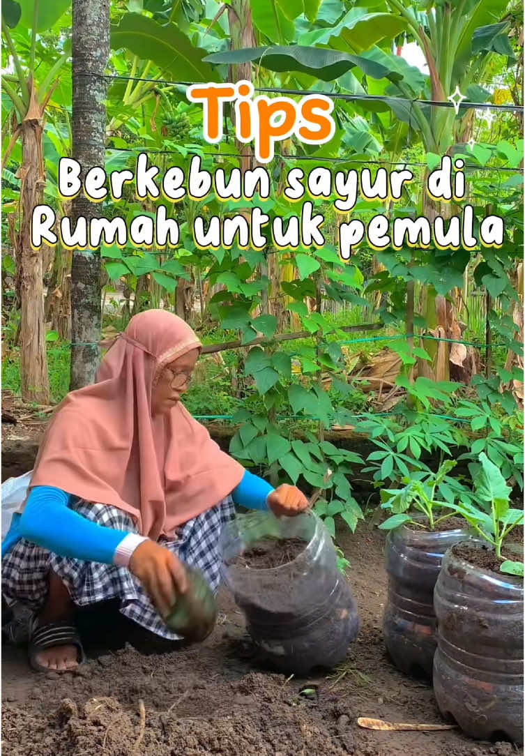 Tips berkebun by madam’s garden simak sampai habis ya best❤️🌿#bercocoktanam #garden #menanam #tipsberkebun #kompos #kebunmini #fypage #foryoupage #fyppppppppppppppppppppppp #fypシ゚ 