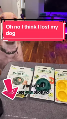 If you love your pup get them this! #yellowlab #tiktokshopfinds #puppy#tiktokshop #dogtreats #tiktokshopblackfriday #tiktokshopcybermonday #creatorsearchinsights @woofpet 