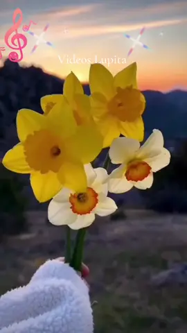 #fypシ゚viral #paratiiiiiiiiiiiiiiiiiiiiiiiiiiiiiiiiii🦋 #queesperabas😔🖤💔 #juanello😔💜🥀🖤 #lupitavideos🦋 #🎶🎶🎶🎶 #🎶🎶🎶🎶💃💃💃💃💃 #mesdebrujas🧡🧡🧡🧡😦😦😦 #amor❤️ #fypシ゚viral #🎶🎶🎶🎶 #