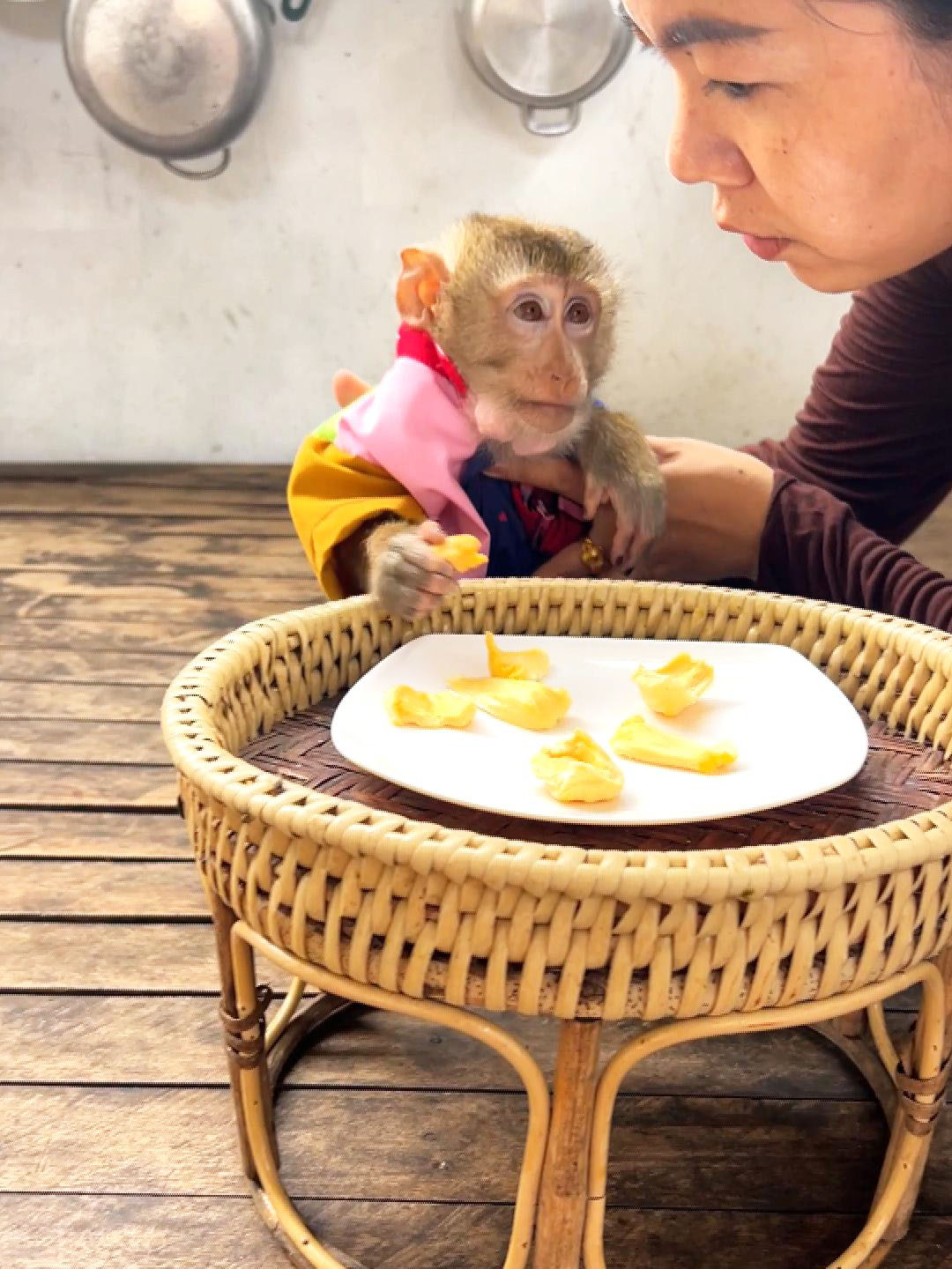 Lil Mody With A Pathetic Facial Expression, Begs His Mom For An Extra Jackfruit