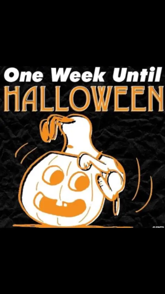 1 Week Away !! Halloween Is 1 Week Away  #faulknerselitegymnastics #faulknerselite #faulknerselitegraham #faulknerselitetrainingcenter #gymnasticsfacility  #gymnastics #winninggymnastics #gymnasticchampionships #nationalteammembers  #recreationgymnastics #gymnasticcompetitions #boysgymnastics #elitegymnastics #gymnasticsvideos #preteamgymnastics #beginnergymnastics #advancedbeginnergymnastics #acrogymnastics #nga #ngagymnastics #lrproductions #gymnasticscholarships  #faulknerselitecheertumble #faulknerselitespecialevents  #faulknerselitesummercamps #summergymnastics #cheertumblegymnastics  #spiethamerica