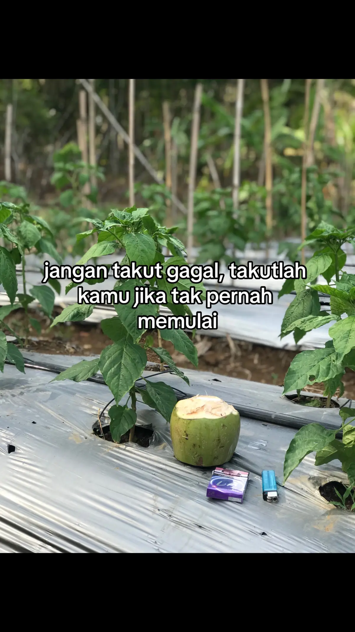 Kang kata kata hari ini.. #petanimilenial #penyanggatatanannegaraindonesia🌾🌾🌾 #petaniindonesia🇮🇩🇮🇩🇮🇩🌿🌿 #petanicabai #petanimuda #fypシ゚viral🖤tiktok☆♡🦋myvideo #fypシ゚viral #xyzbca #masukberanda #4u 