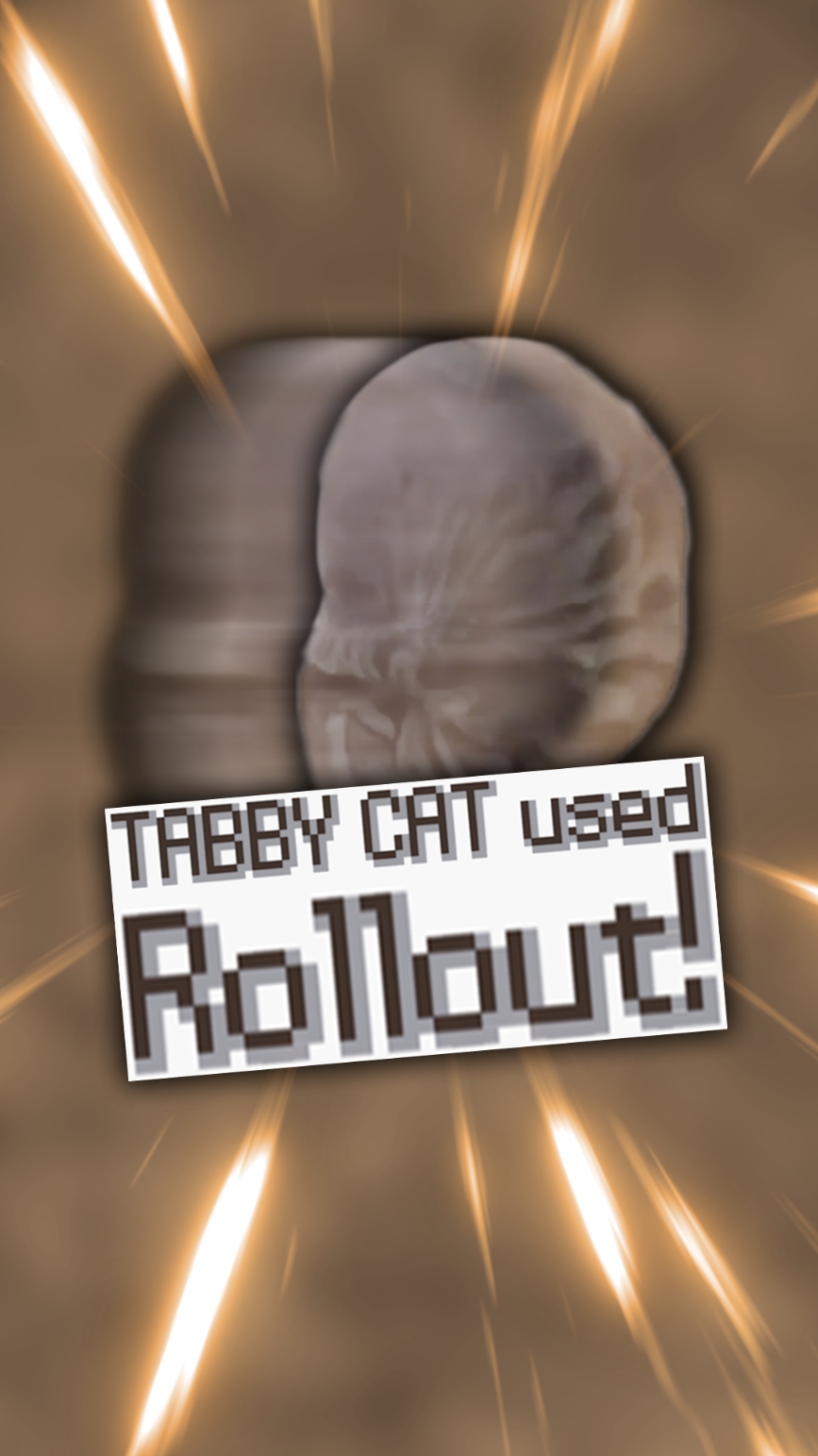 Tabby Cat used Rollout! #pokemon #pokemontiktok #nintendo #catmeme #pokemonedit #gamingmemes #catsoftiktok #nintendods (Diamond and Pearl HP bars sprites ripped by Space Guard, Textbox sprites ripped by Lakilester 86)