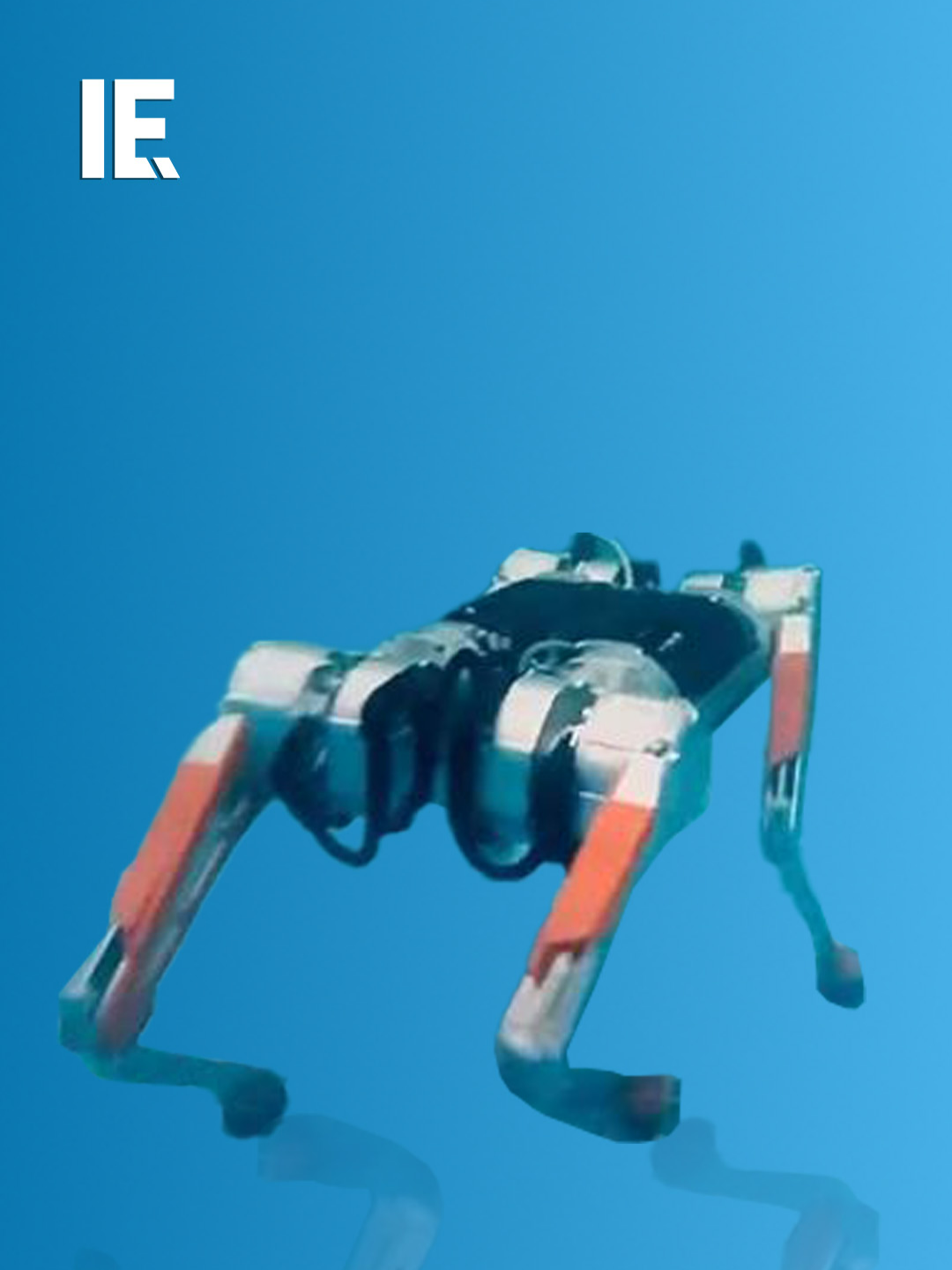 MAB Robotics has released footage of the Honey Badger robot walking underwater, presenting new possibilities for amphibious robots in industrial or search and rescue settings. 📸: Youtube/ MAB Robotics