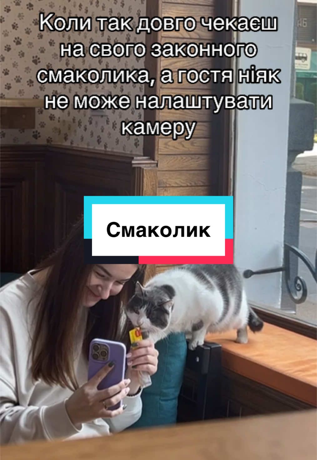 #catcafe #іванофранківськ 