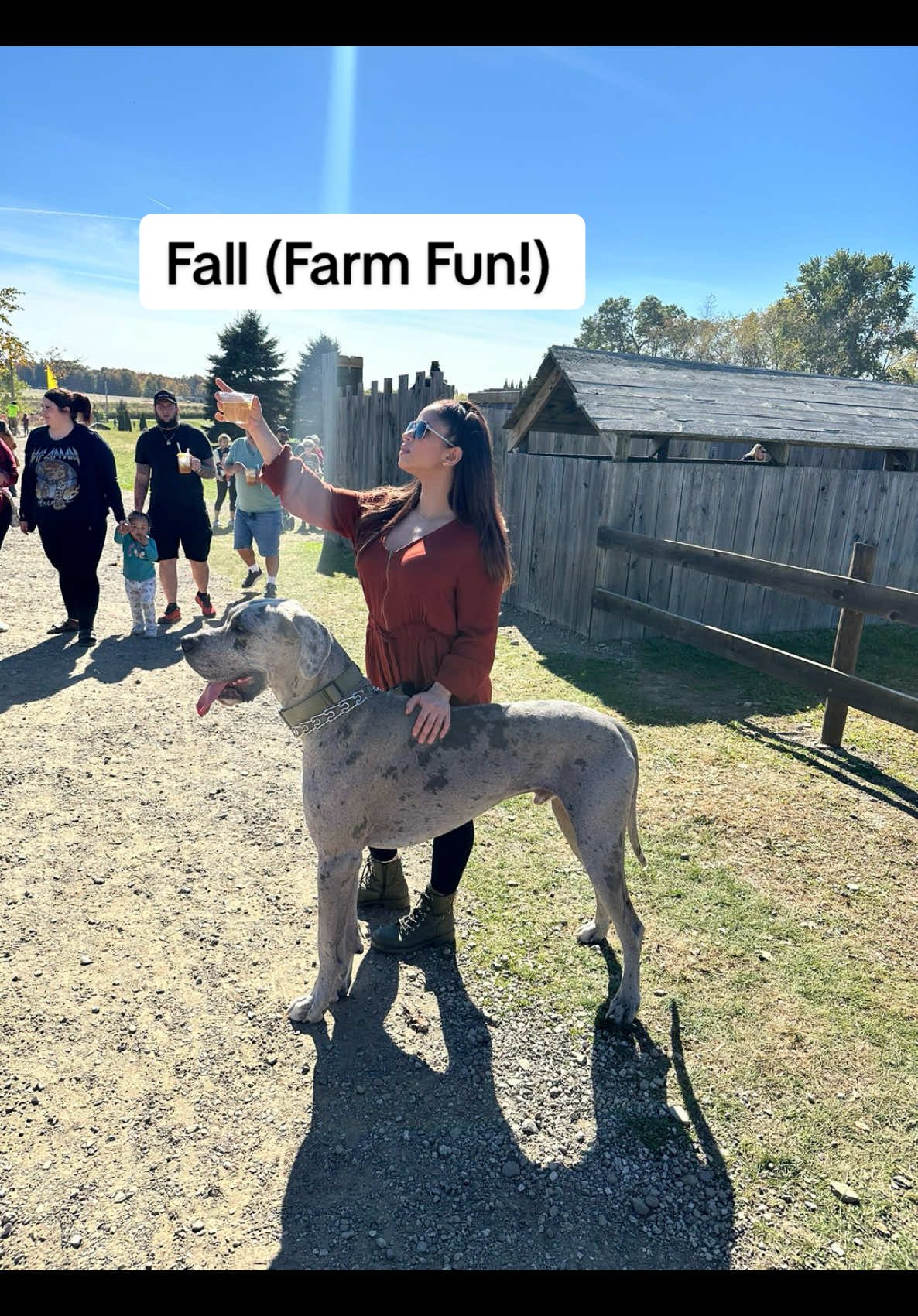 I love coming to this #farm and this time we brought ghosty! #fall #fallfun #talisatv #greatdane #parentsoftiktok #follow #Vlog #youtube 