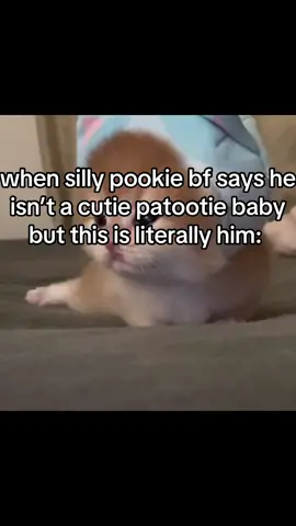 THIS IS LITERALLY HIM