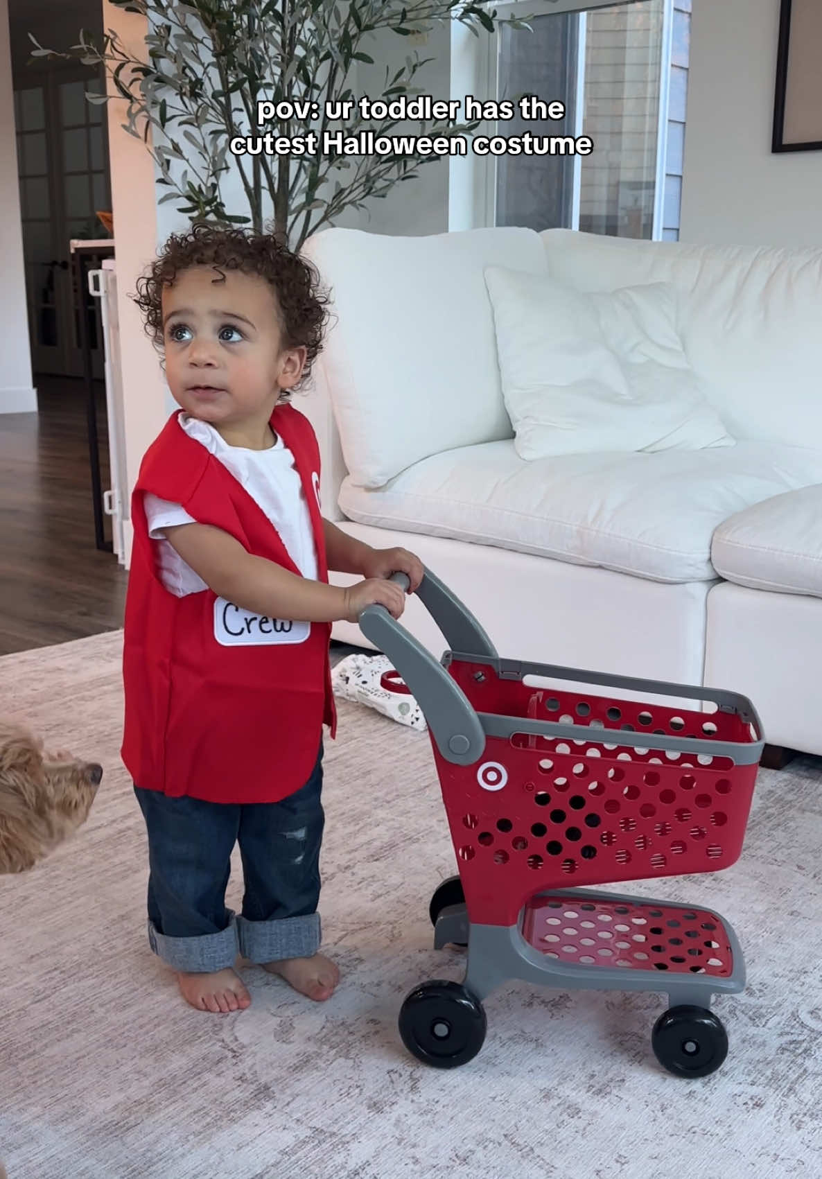 his fav store just like mama😭😂❤️ #halloween #toddler #toddlercostume #babyboy #target #targethalloween #momtok #MomsofTikTok #fyp @target 