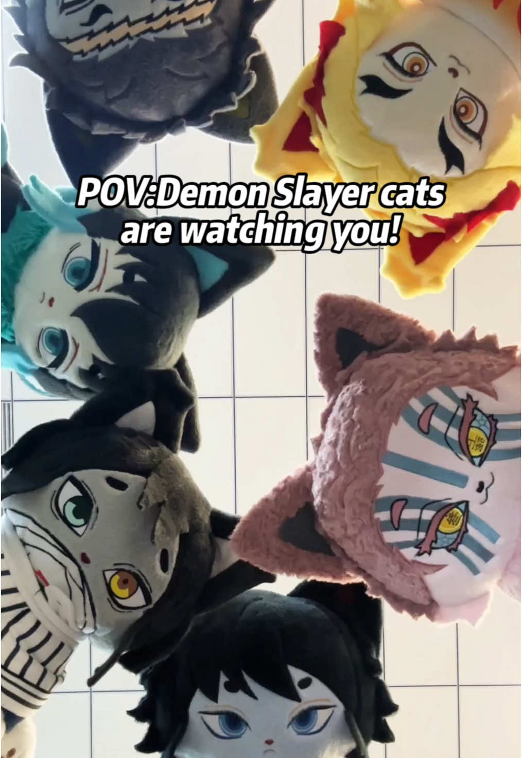 POV:Demon Slayer cats are watching you! #muichiro #tokito #tokitomuichiro #muichiroutoukito #muichirotokito #muichirou #tokitomuichiro🌫💙 #muchiroedit #kotetsu #rengoku #rengokukyojuro #kyojurorengoku #kyojuro #rengokuedit #hashira #tomioka #giyuutomioka #giyuu #tomiokagiyuu #giyu #giyutomioka #demonslayer #kimetsunoyaiba #kny #kimetsu_no_yaiba #demonslayeredit #ds #knyedit #demonslayercosplay #demonslayerseason4 #plushies #fyp 