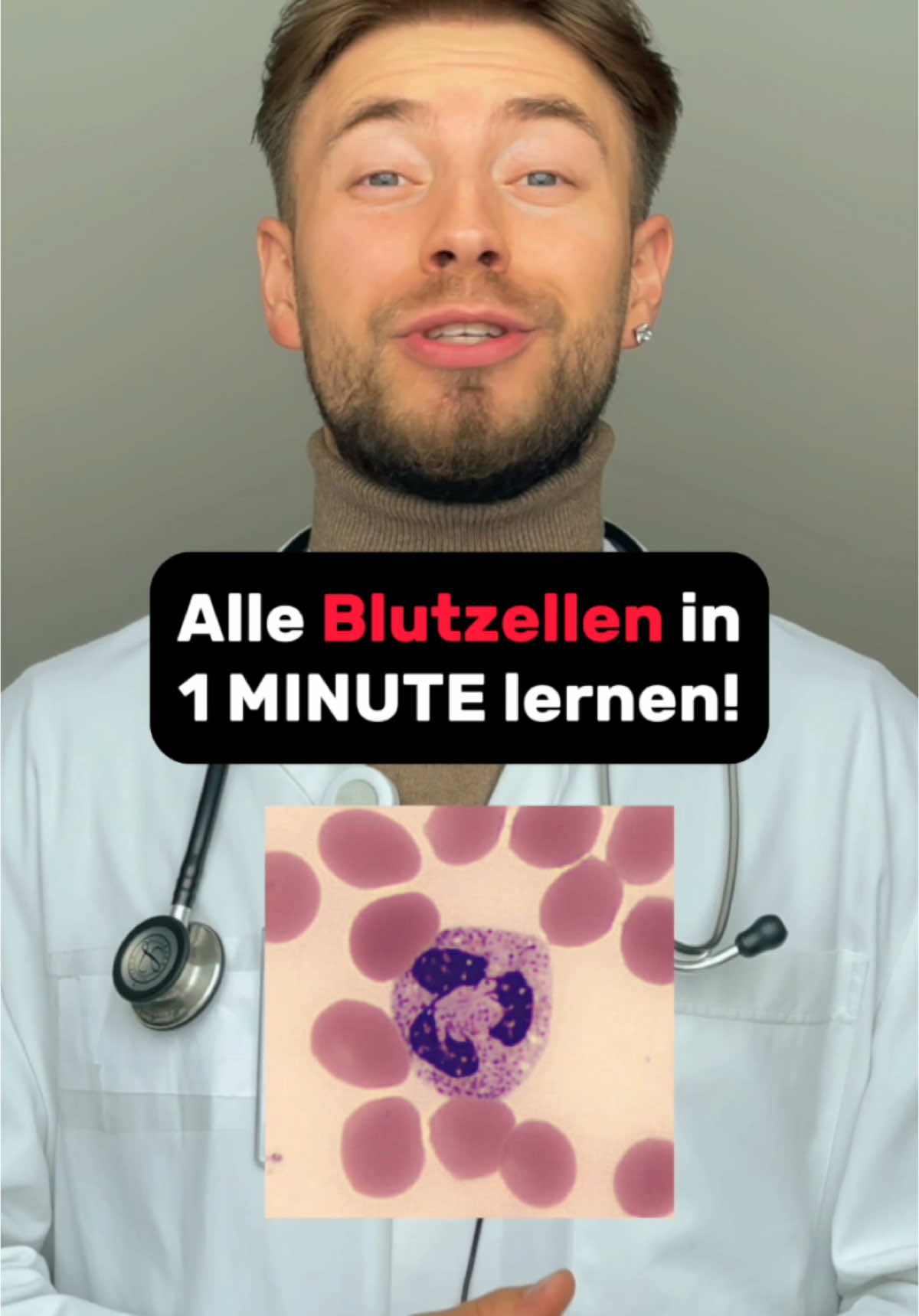 Alle BLUTZELLEN in 1 Minute lernen! 👨🏽‍⚕️🩸  . . . #arzt #krankenhaus #klinik #medizinstudium #medizinstudent #medizinstudieren #pflege #krankenpflege #medizin @sternzeichenarzt 