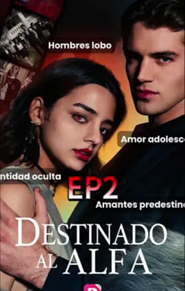 Alpha Ezra took Kate to a flock of sheep 🎥 ：  Fated to Alpha/Episode 2 #Series # Novel # Soap Opera # Male Homosexuality # Herd