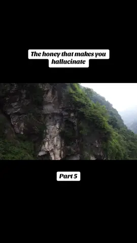 Like and follow for more!#madhoneynepal #interestingvideos #discover #discover #interesting #tiktok 