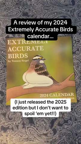 The 2025 edition is here with all new birds, but here’s a roundup of my 2024 calendar (i dont want to spoil the new ones yet!) — tasteful and accurate! Just wait til you see the California Quail and the Song Sparrow…! #birding #funny #giftideas #calendar 
