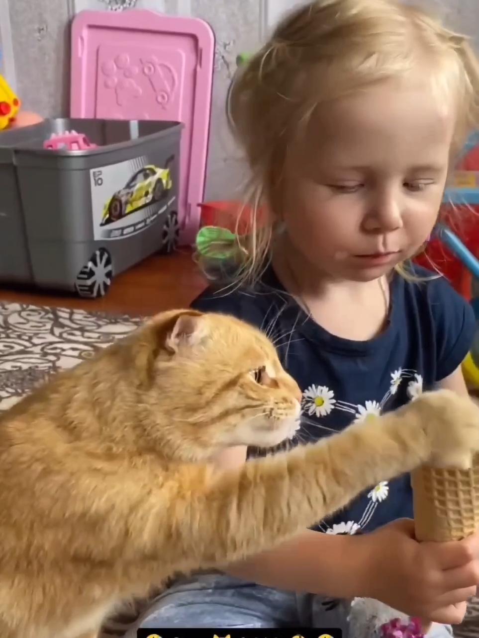 Funny cats & funny babies 😂 #kitten #funny #funnycat #funnyanimals #funnypets #funnycatsoftiktok #cutecat #catlover #catsoftiktok #cats 