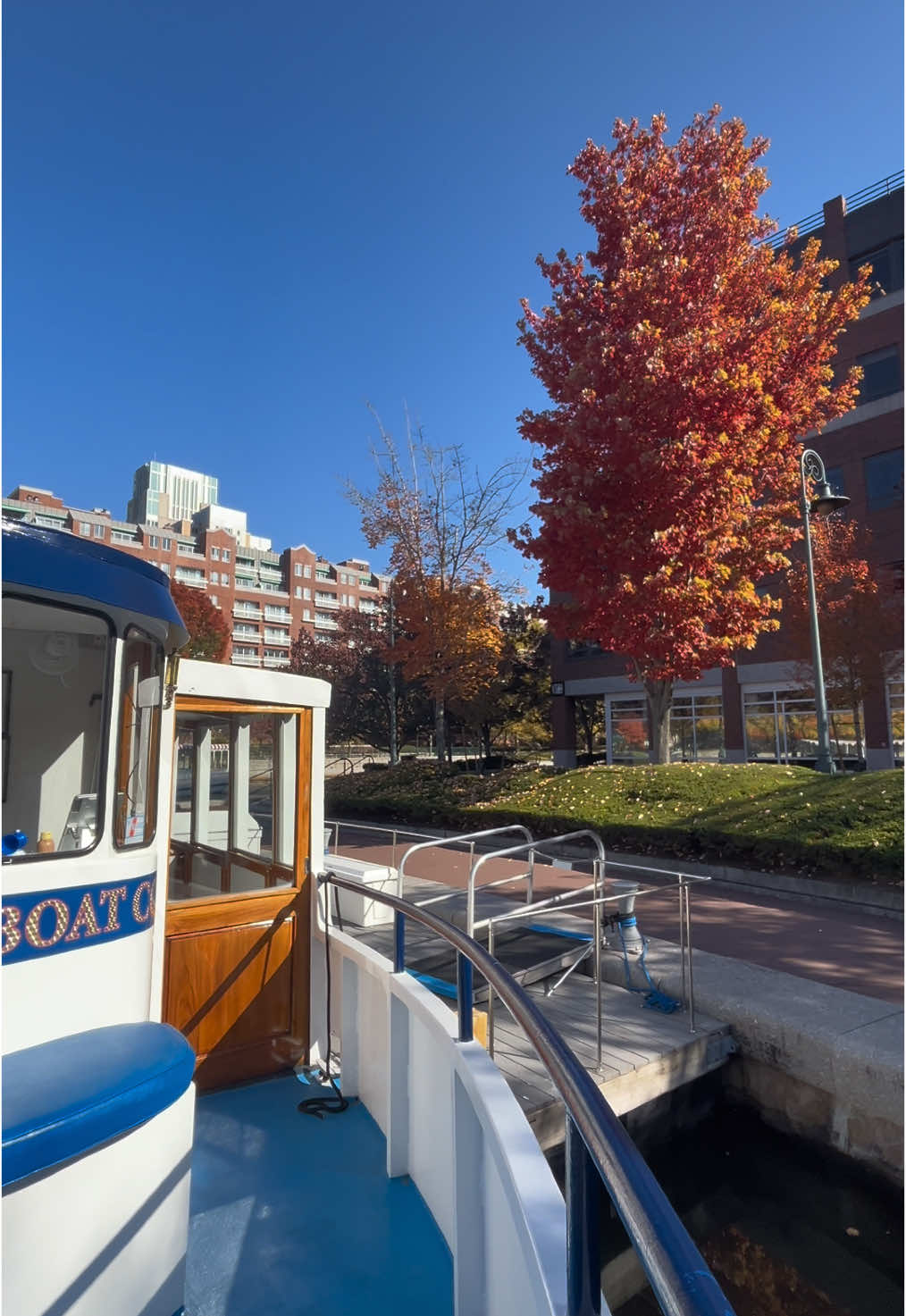 AUTUMN ALERT 🍁 looking for some leaf peeping right here in Boston? Join us for a Fall Foliage cruise along the Charles River! #newenglandfall #fallvibes #bostontiktok #thingstodoinboston #bostonfall 