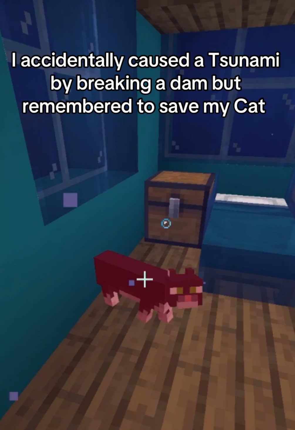 Sadly my Cat didn‘t make it 😿😭#Minecraft #minecraftmemes #minecrafter #minecraftmoment 