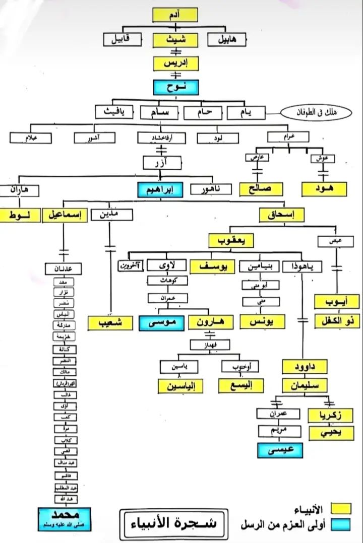 شجرة الأنبياء