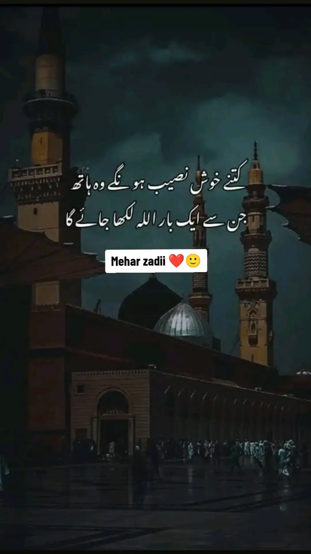 #mehar_zadii #🥺🔥💔✍️ #viral #unfreeze #account #tiktok #likeproblem😓 #sadpoetry🥺 