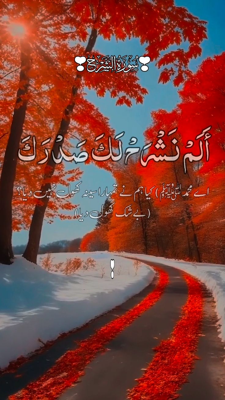 سورۃ الشرح کی تلاوت اور ترجمعہ 🌹🕊️🤍🌹#quran #quran_alkarim #quran_alkarim #islamicreminder #islamic #viraltiktok #quran_alkarim #islamicreminder #islamic #quranrecitation #islamic #quranrecitation #quran #quarantine #quran_alkarim #quran #fyp #fyp #foryoupage❤️❤️ #wordsofallah1192 @❣️LEARNING QURAN ONLINE❣️ @🖋📖🥀اِقۡرَأ🥀📖🖋 @Words of Allah 