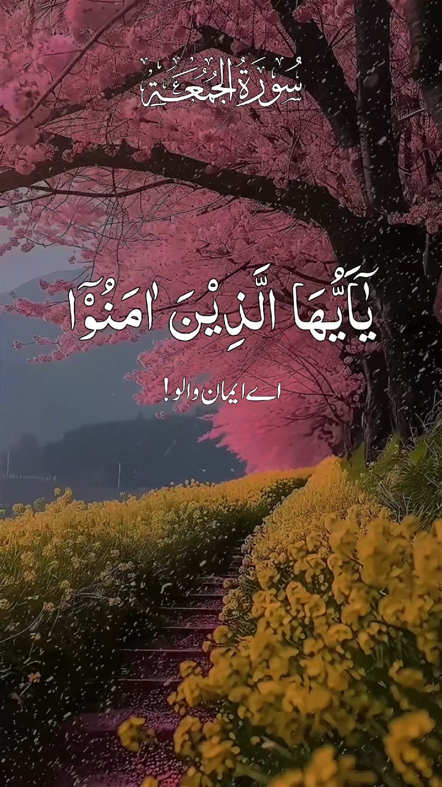 #جمعة_مباركة #سبحان_الله_وبحمده_سبحان_الله_العظيم #ارح_سمعك_بالقران🎧♥️ #اللهم_صلي_على_نبينا_محمد #راحة_نفسية_للقلب🤲📿💕اللهم_لك_الحمد #راحة_نفسية_للقلب🤲📿💕 #القران_الكريم #درودشریف_پڑھ_کر_آگے_شیئر_ضرور_کرے #سبحان_الله_وبحمده_سبحان_الله_العظيم #راحة_نفسية_للقلب🤲📿💕اللهم_لك_الحمد @🌹HOLY QURAN🌹 @🌹🖋📖 اِقۡرَاۡ 📖🖋🌹 @🌹📖HOLY QURAN 📖🌹 @🥀📖القرآن📖🥀 