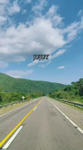 jujuy en primavera es bellísimo!!!... #jujuy #norte #colores #naturaleza #paz #turismo #argentina🇦🇷 #verde #arboles #fyp #paratiiii 