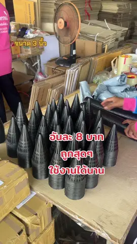 #งาดักปลาไหล #งาดักปลา